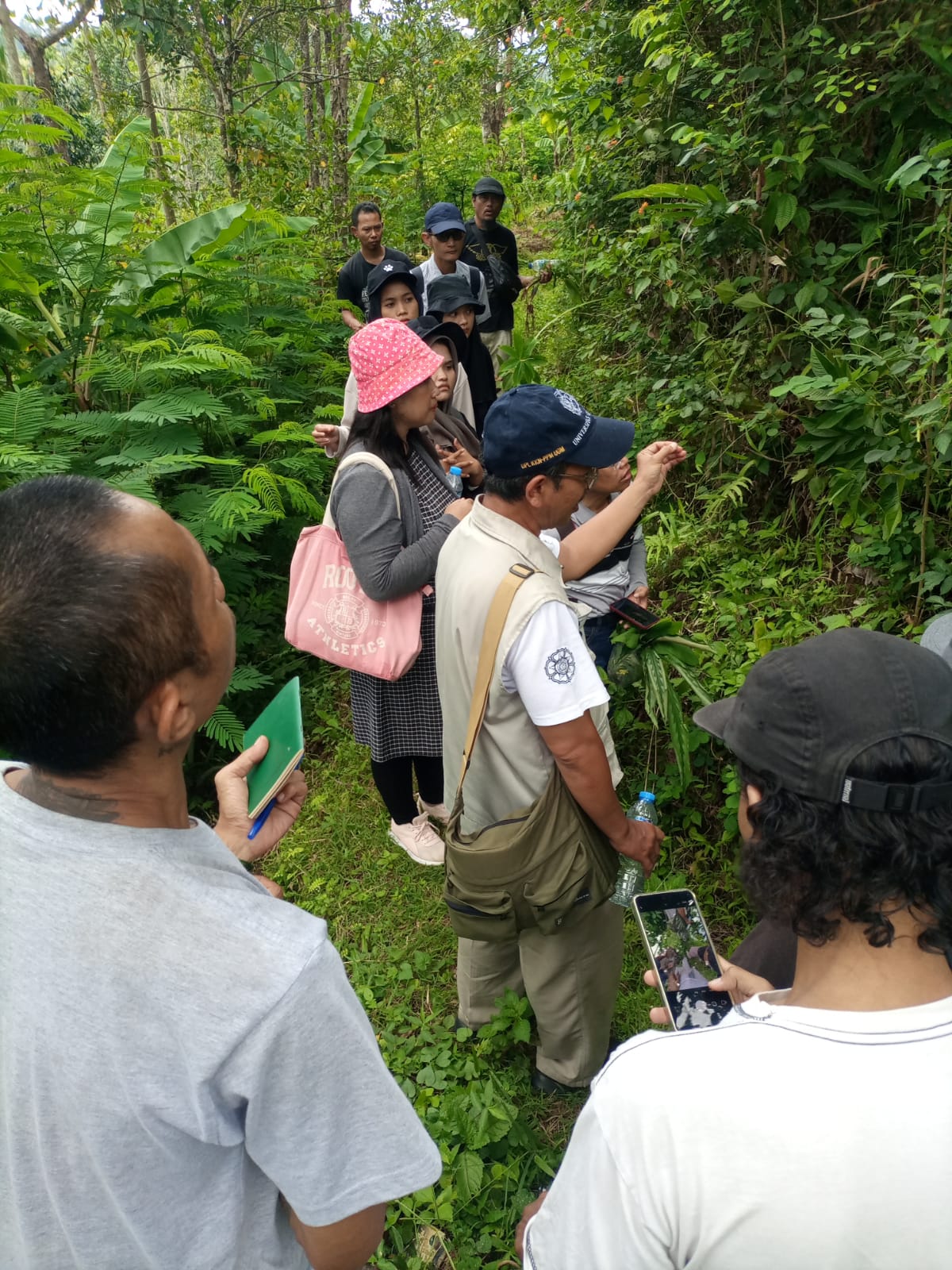 Menyusuri Jalur Rimpang