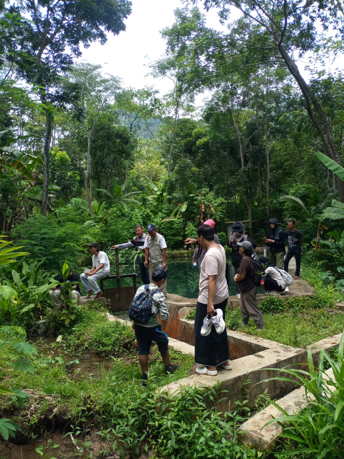 Menikmati Keindahan dan Kesegaran Alam di Kulonprogo